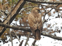 DSCN5310.JPG
