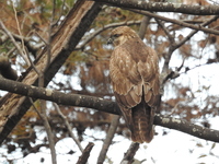 DSCN5322.JPG