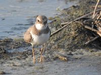 DSCN5328.jpg
