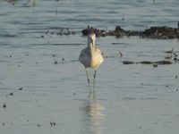 DSCN5371.jpg