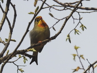 DSCN5636.JPG