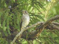 DSCN5721.jpg