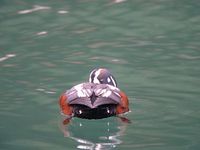 DSCN8690.jpg