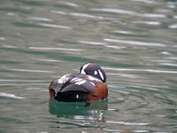 DSCN8716.jpg