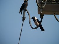 DSCN9081.jpg
