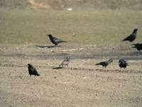 DSCN9103.jpg