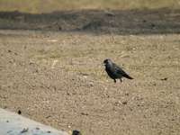 DSCN9121.jpg