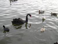 DSCN9237.jpg