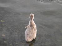 DSCN9257.jpg