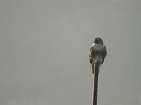 DSCN9859.jpg