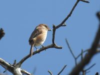 DSCN9878.jpg