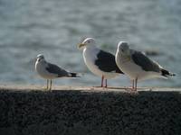 DSCN9914.jpg