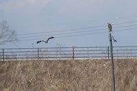 IMG_0359.jpg