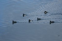 IMG_1889.jpg