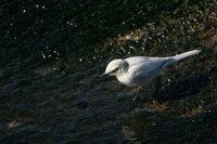 IMG_2166.jpg