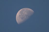 IMG_3377.jpg