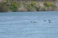 IMG_3537.jpg