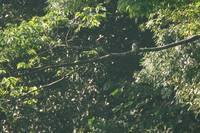 IMG_3747.jpg