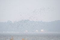 IMG_5196.jpg