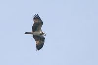 IMG_5209.jpg