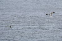 IMG_5220.jpg