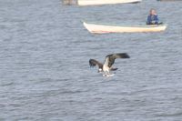IMG_5224.jpg