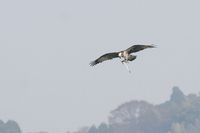 IMG_5235.jpg
