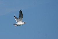 IMG_5645.jpg