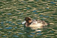 IMG_5904.jpg