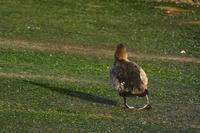 IMG_6008.jpg