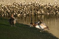 IMG_6019.jpg