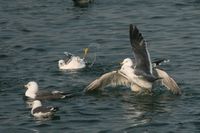 IMG_6672.jpg