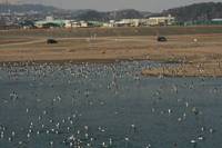 IMG_6682.jpg