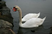 IMG_6838.jpg