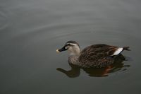 IMG_6877.jpg