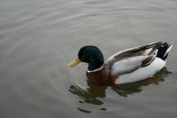 IMG_6882.jpg