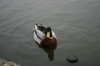 IMG_6886.jpg