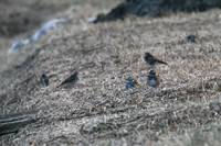 IMG_7276.jpg