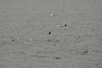 IMG_8389.jpg
