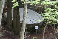 IMG_8940.jpg