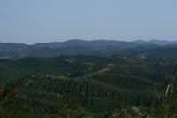 IMG_8952.jpg