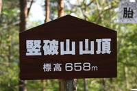 IMG_8958.jpg