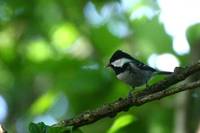 IMG_9480.jpg