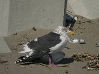 DSCN5253.jpg